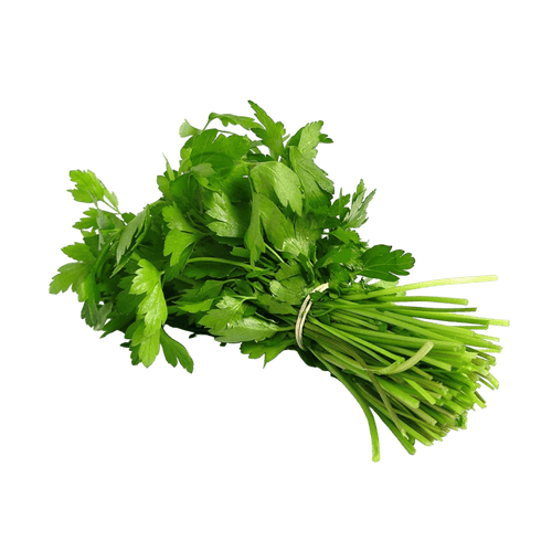 Jamoona Fresh - 1 Bunch Fresh Dhaniya (Coriander leaves)