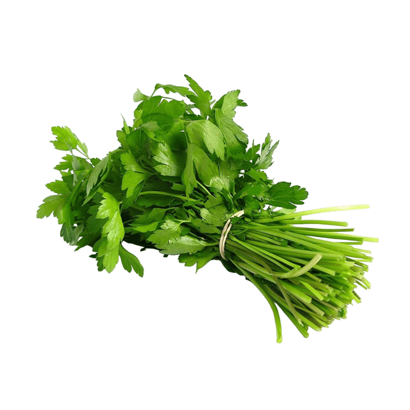 Jamoona Fresh - 1 Bunch Fresh Dhaniya (Coriander leaves)