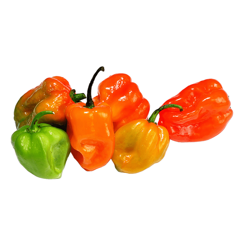 Jamoona Fresh - 150g Frische Habanero Chili