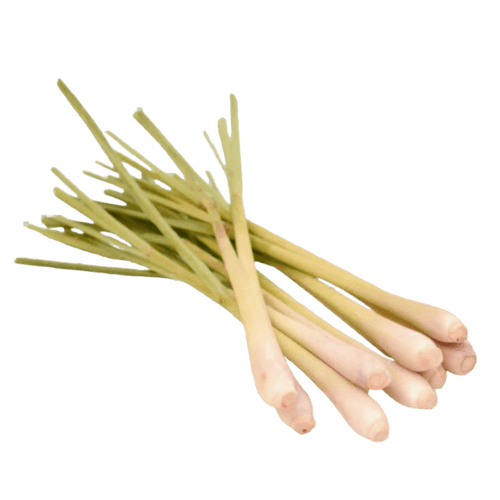 Jamoona Fresh - 150g Fresh Malabar Grass (Lemongrass)