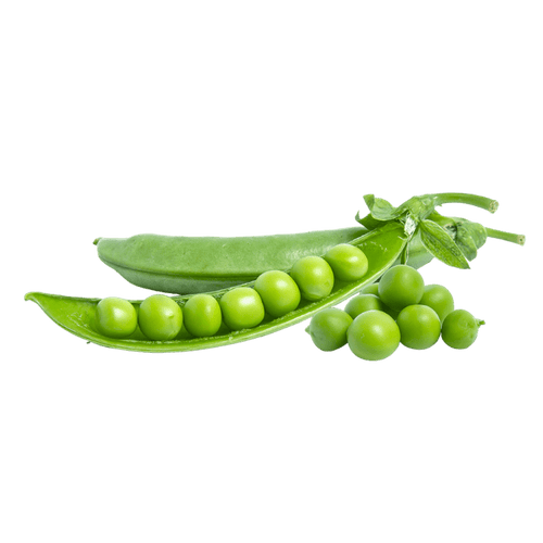 Jamoona Fresh - 250g Fresh Indian Mattar (Green Peas)