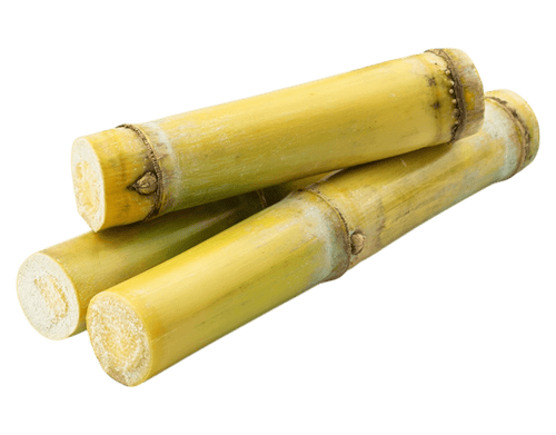 Jamoona Fresh - 1kg Ganna (Sugarcane)