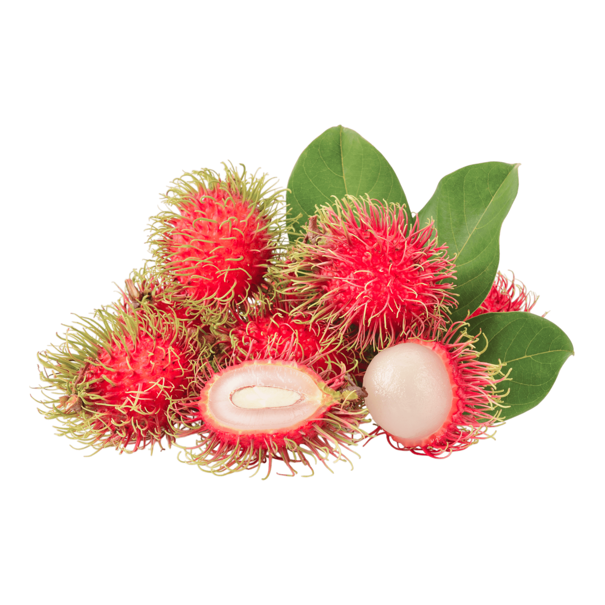 Jamoona Fresh - 500g Frischer Rambutan (Rambutan)