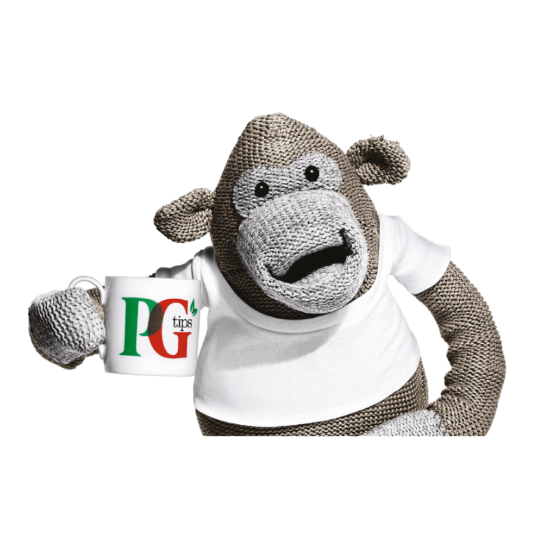 PG Tips - 100 teabags Black Tea