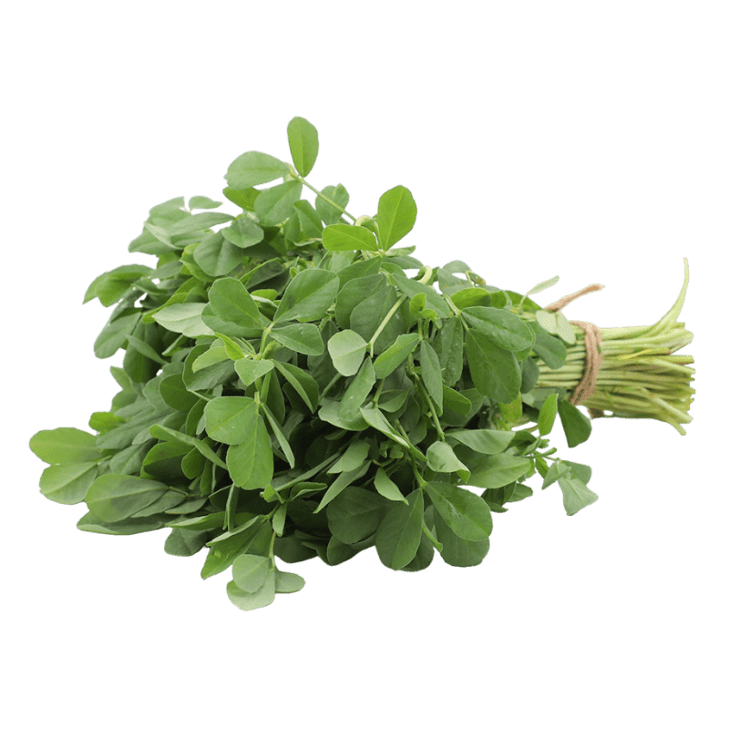 Jamoona Fresh - 1 Bunch Fresh Methi (Fenugreek Leaves)